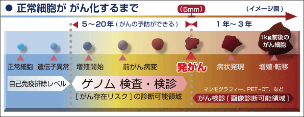 正常細胞が がん化するまでの図