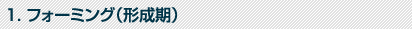 フォーミング