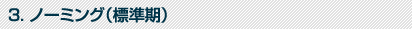 ノーミング